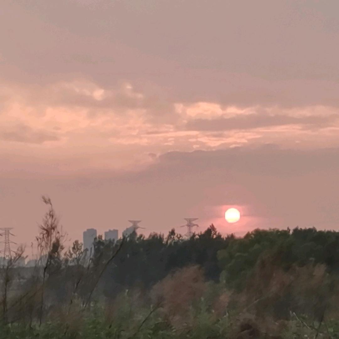 烁