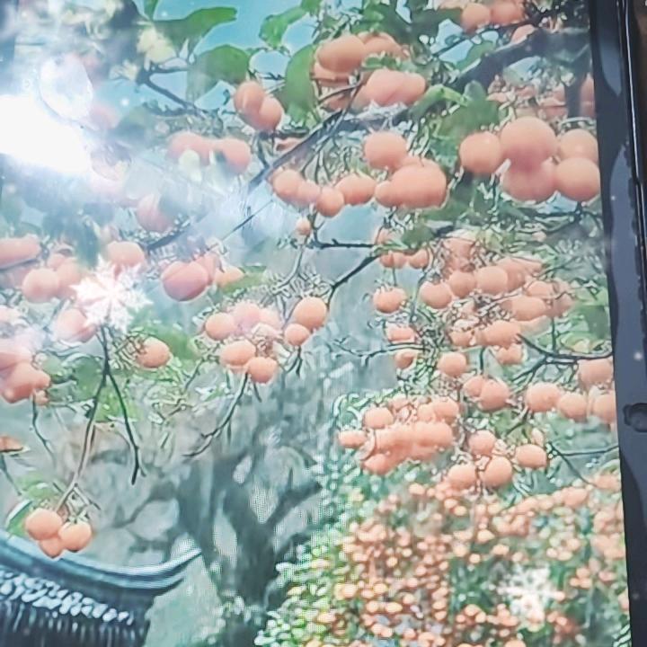 长子猪头肉在孟匠
