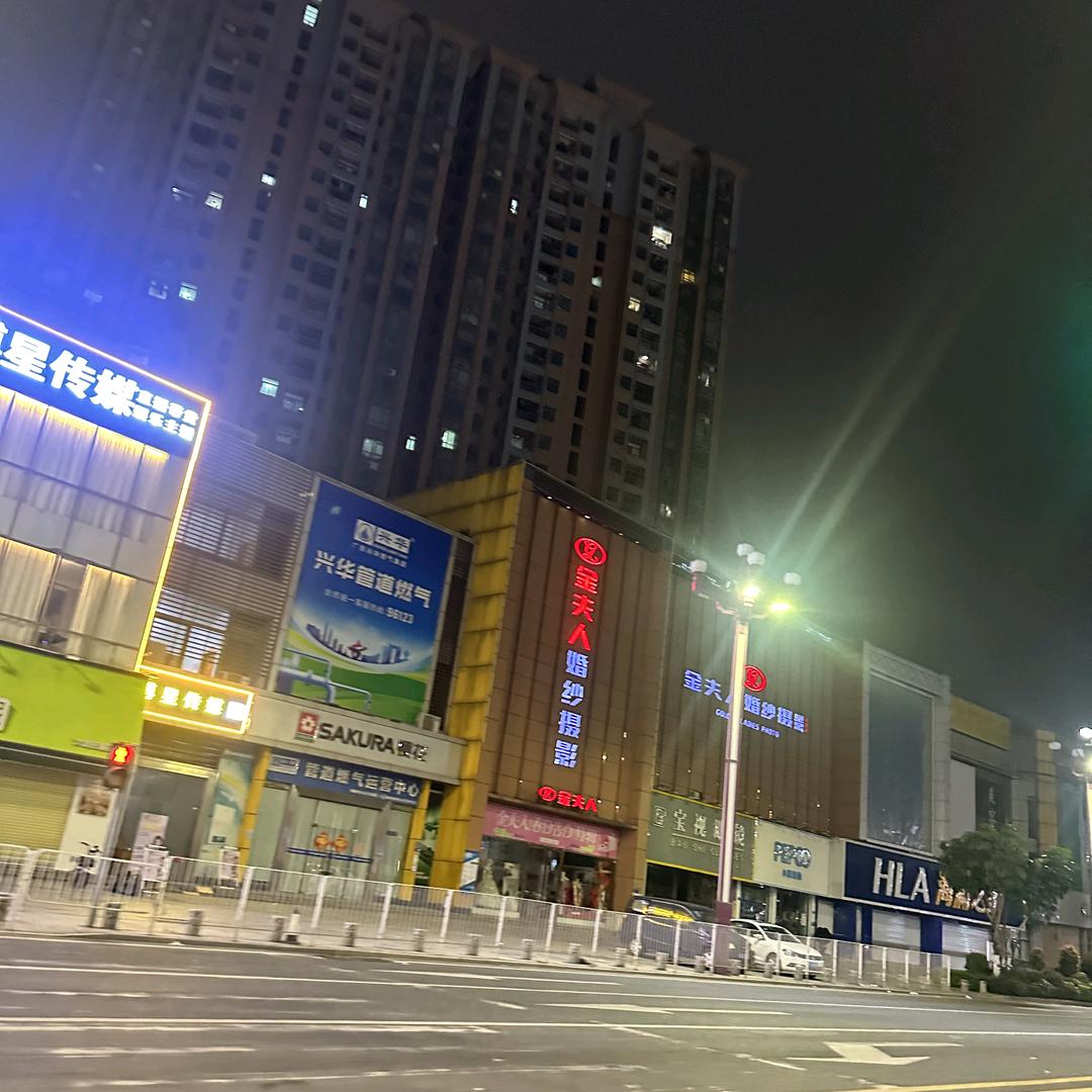 海龟