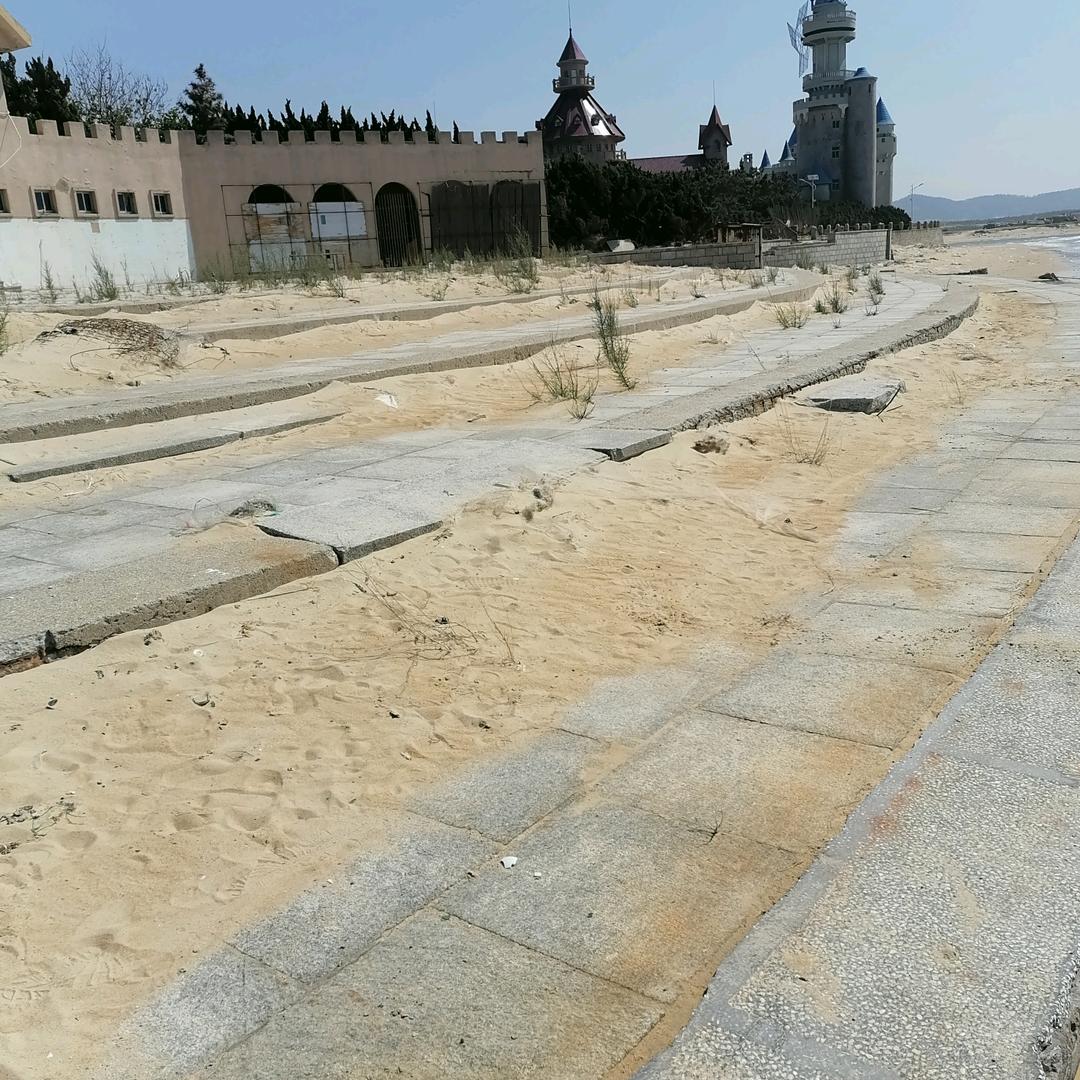 不努力没有提你分担