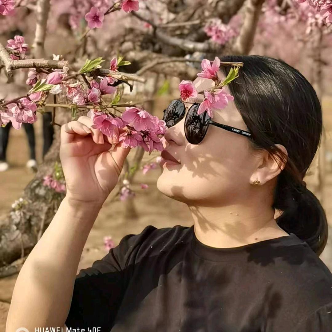 落花伊人