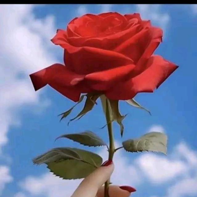 ：：：：：：：