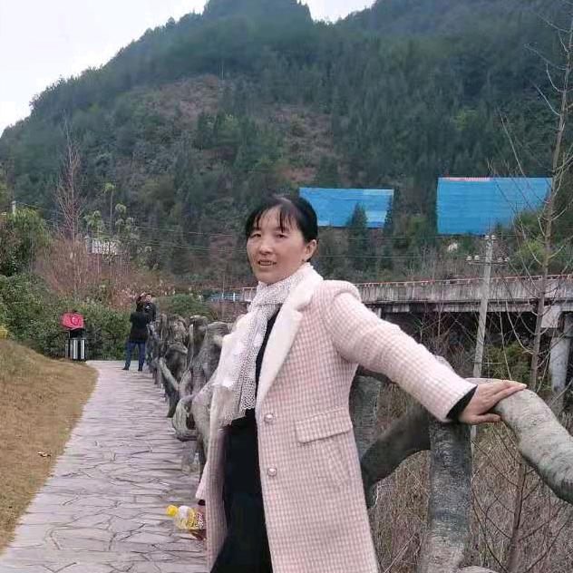 独来独 来 去