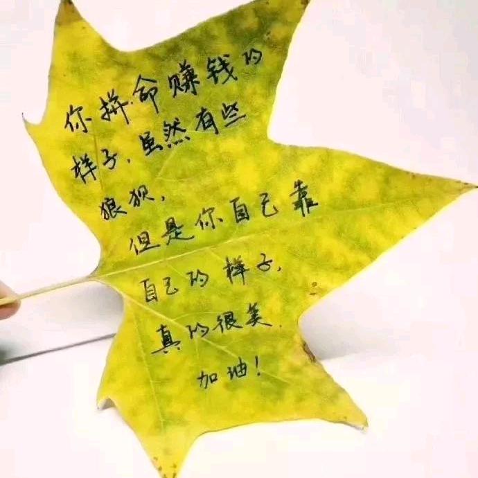 人生就是累，自己的事情自己做主！