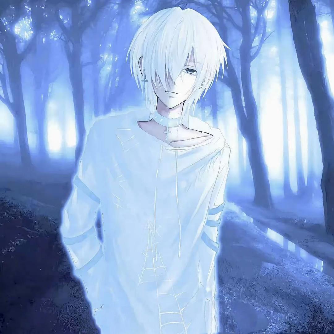 中医药分享者.玲珑心