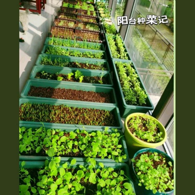 温柔