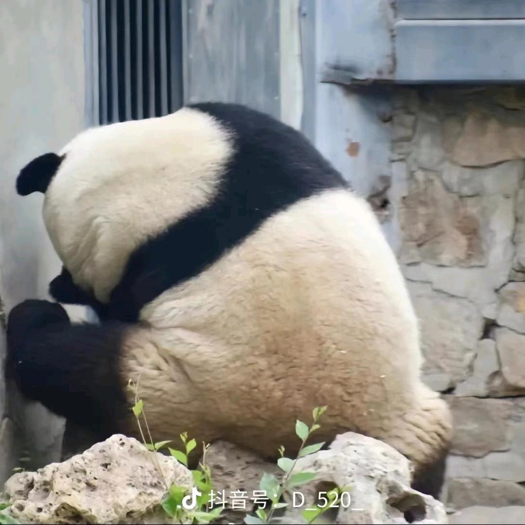 隋小熙