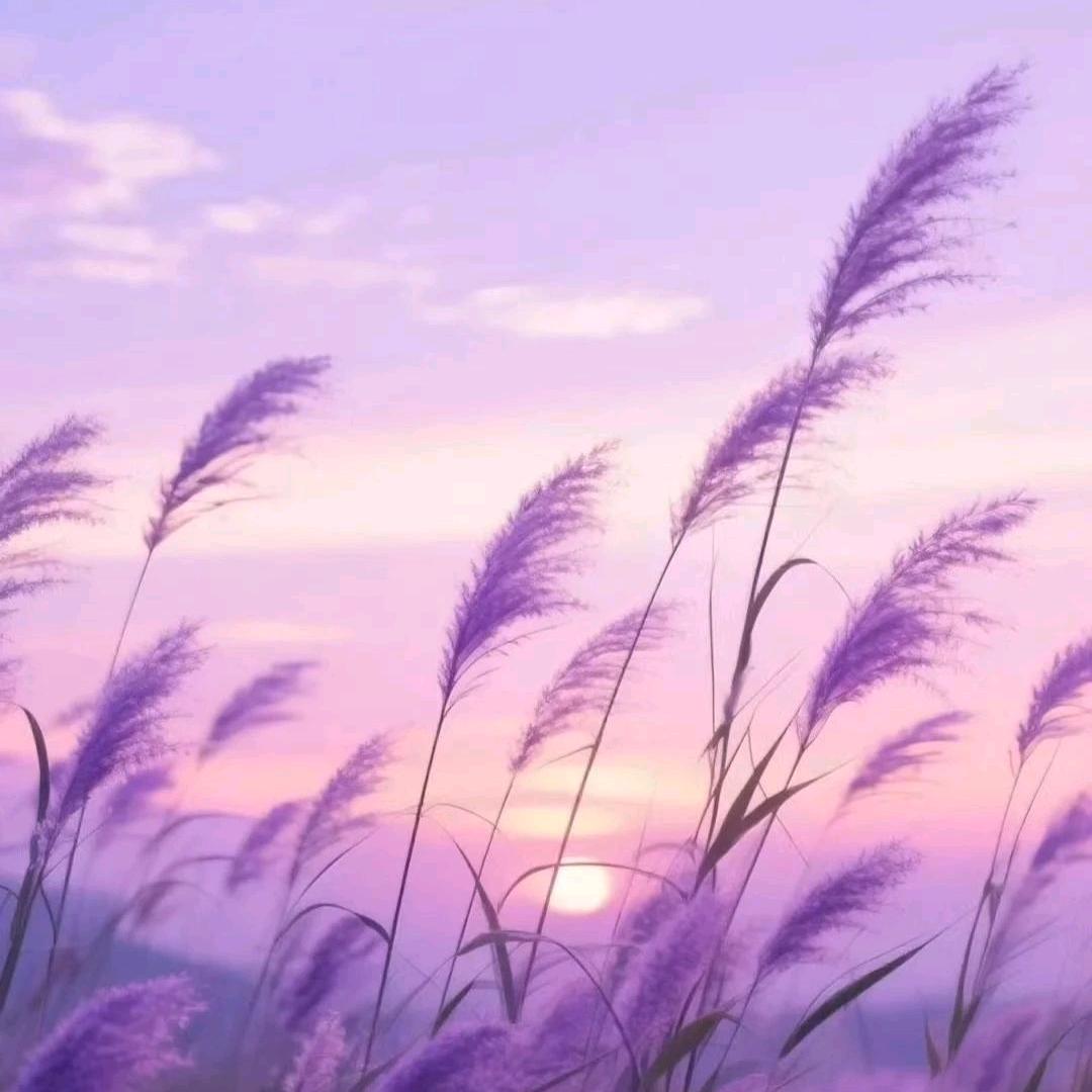 夕颜