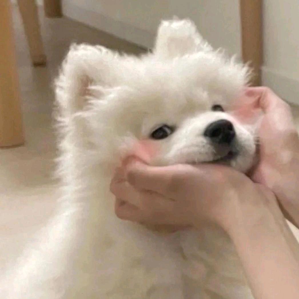 怎么能这么欧