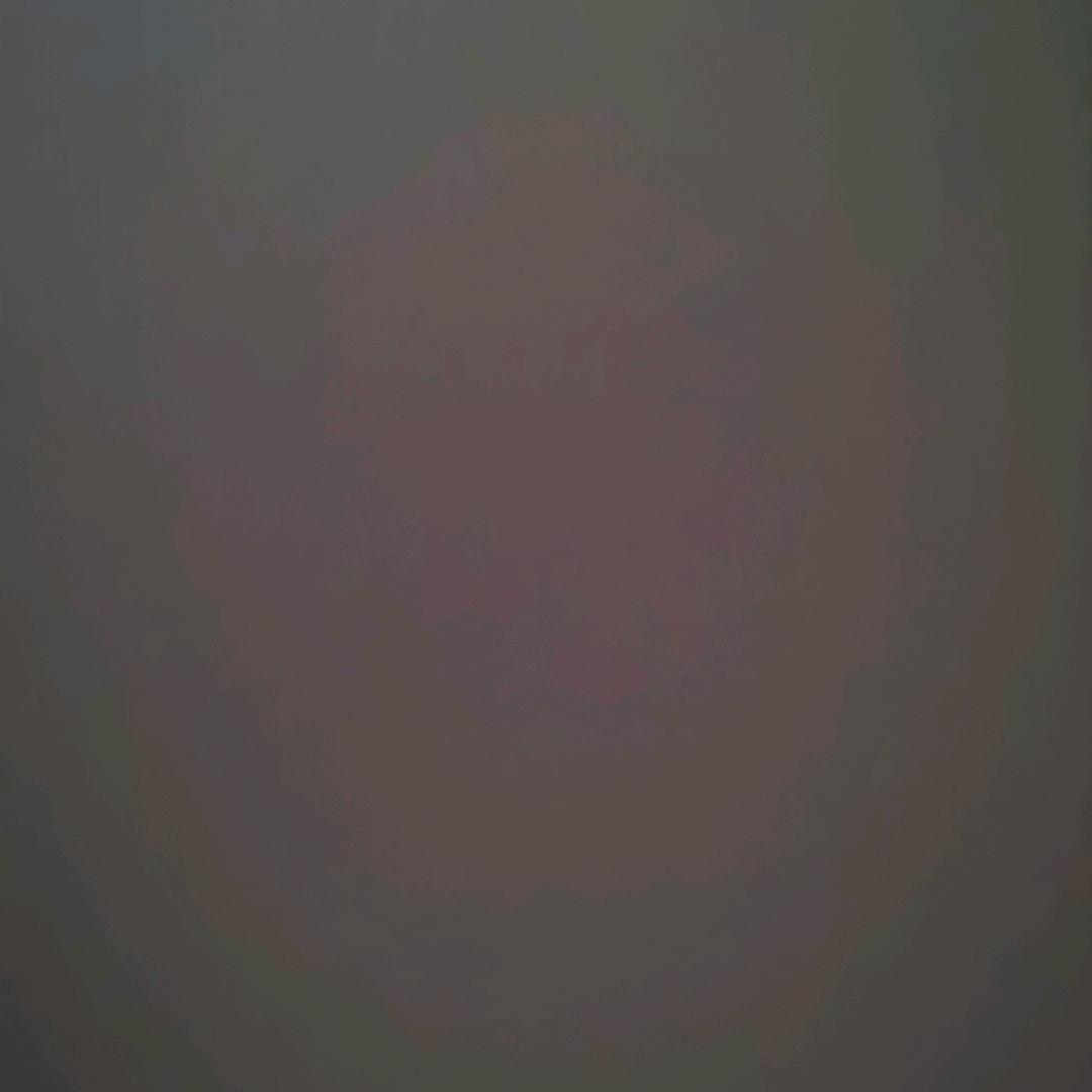 龙宝