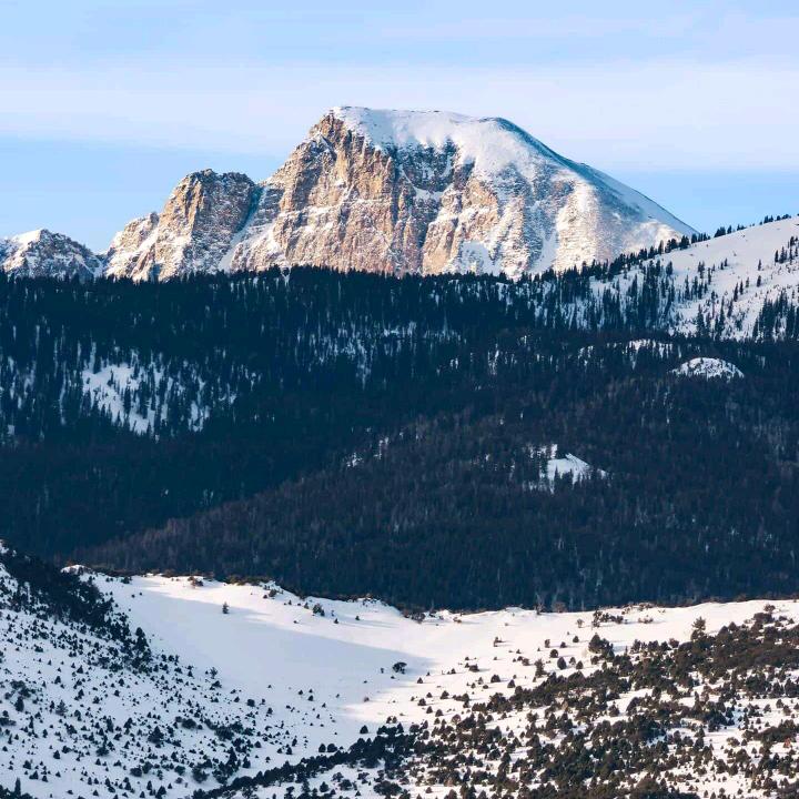 蓝莓基地常年招工