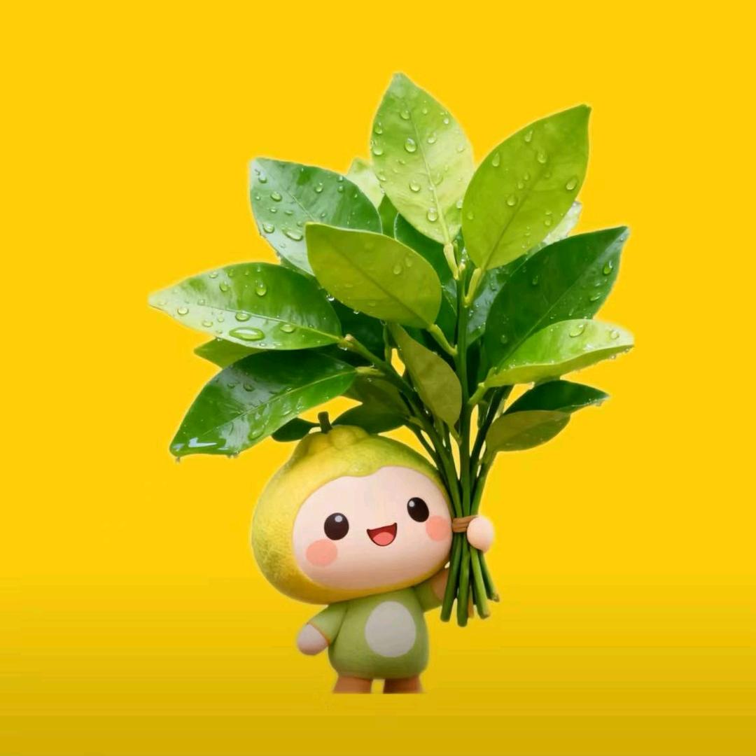 长得不高但姓高😏