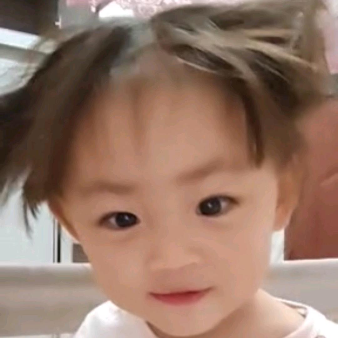喵界大王