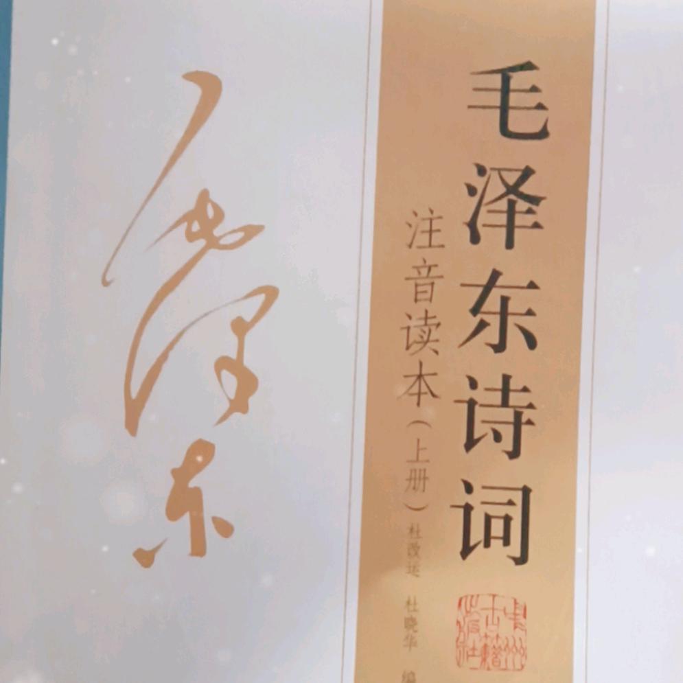 乡村人行走在城市