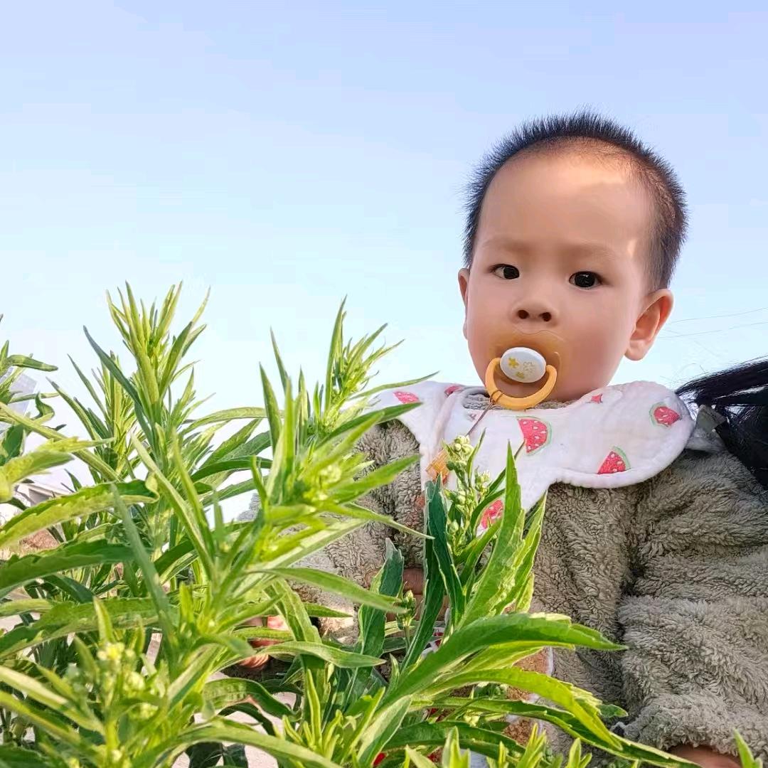归宿