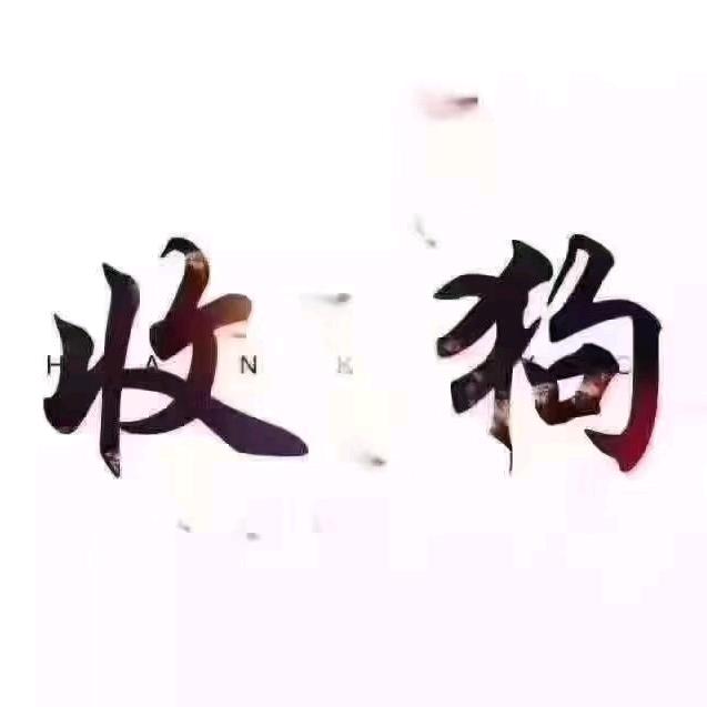 雷哥救助站