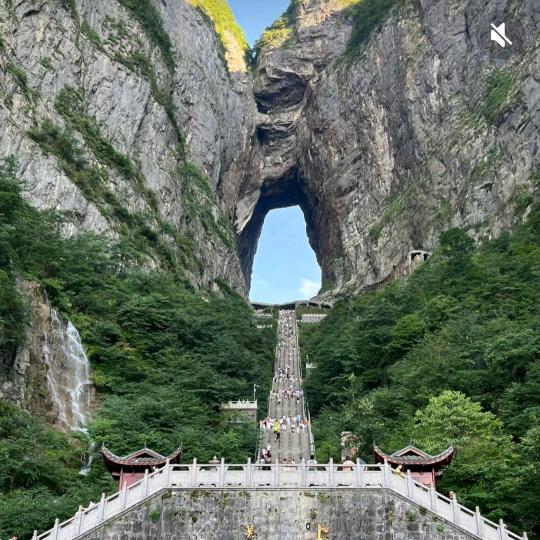 慈利县扬军牲猪养殖场