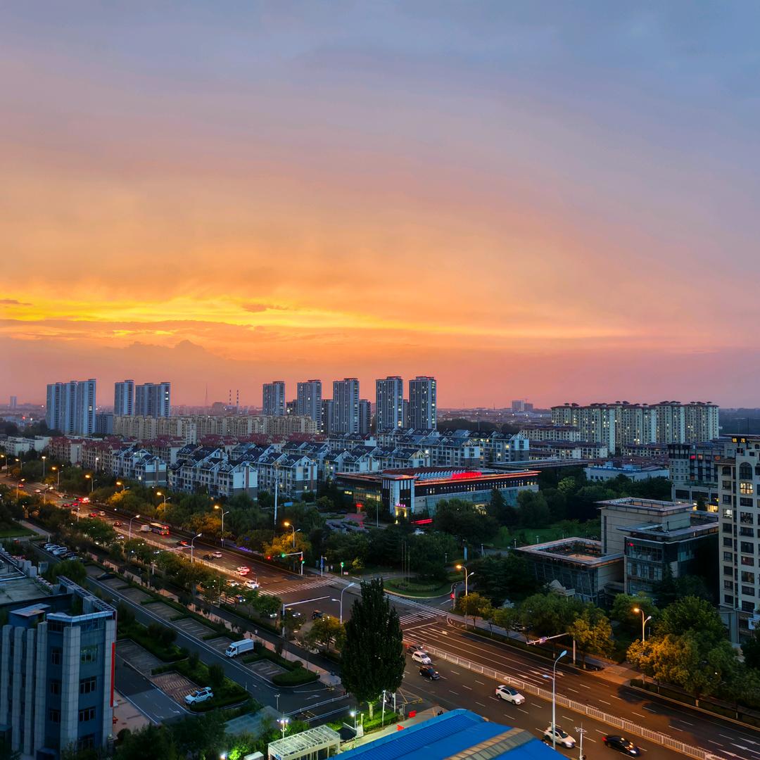 杨杨杨