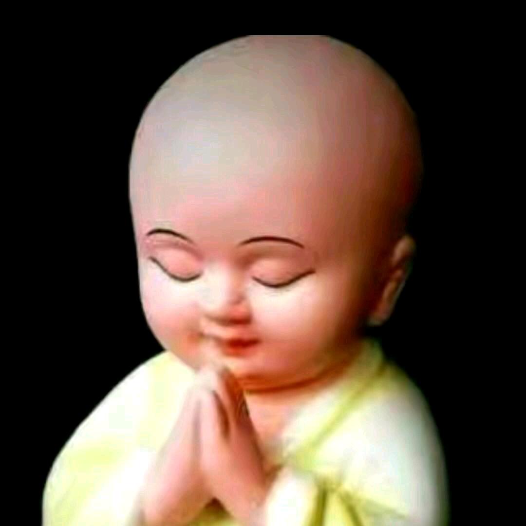 老爷子在线