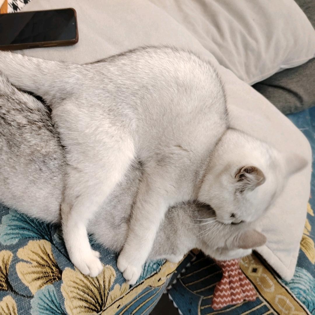 岁月并非如歌🗽