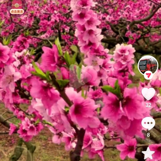 心灵之旅