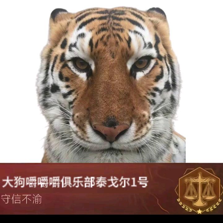 等你消息