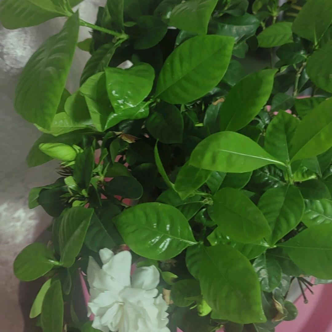 懒洋洋💖💖