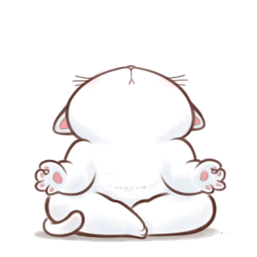 🐾猫猫
