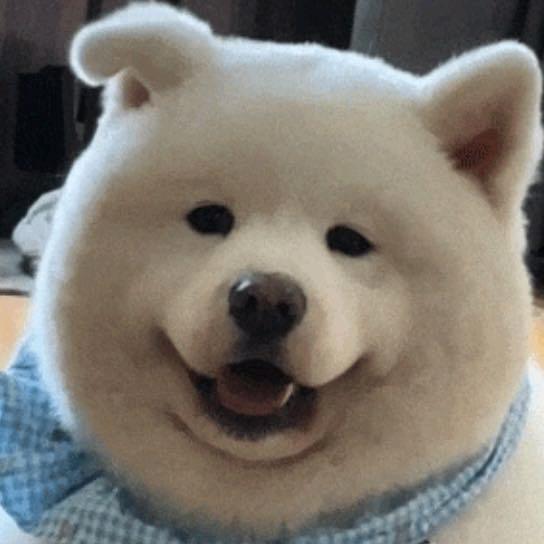宇幻