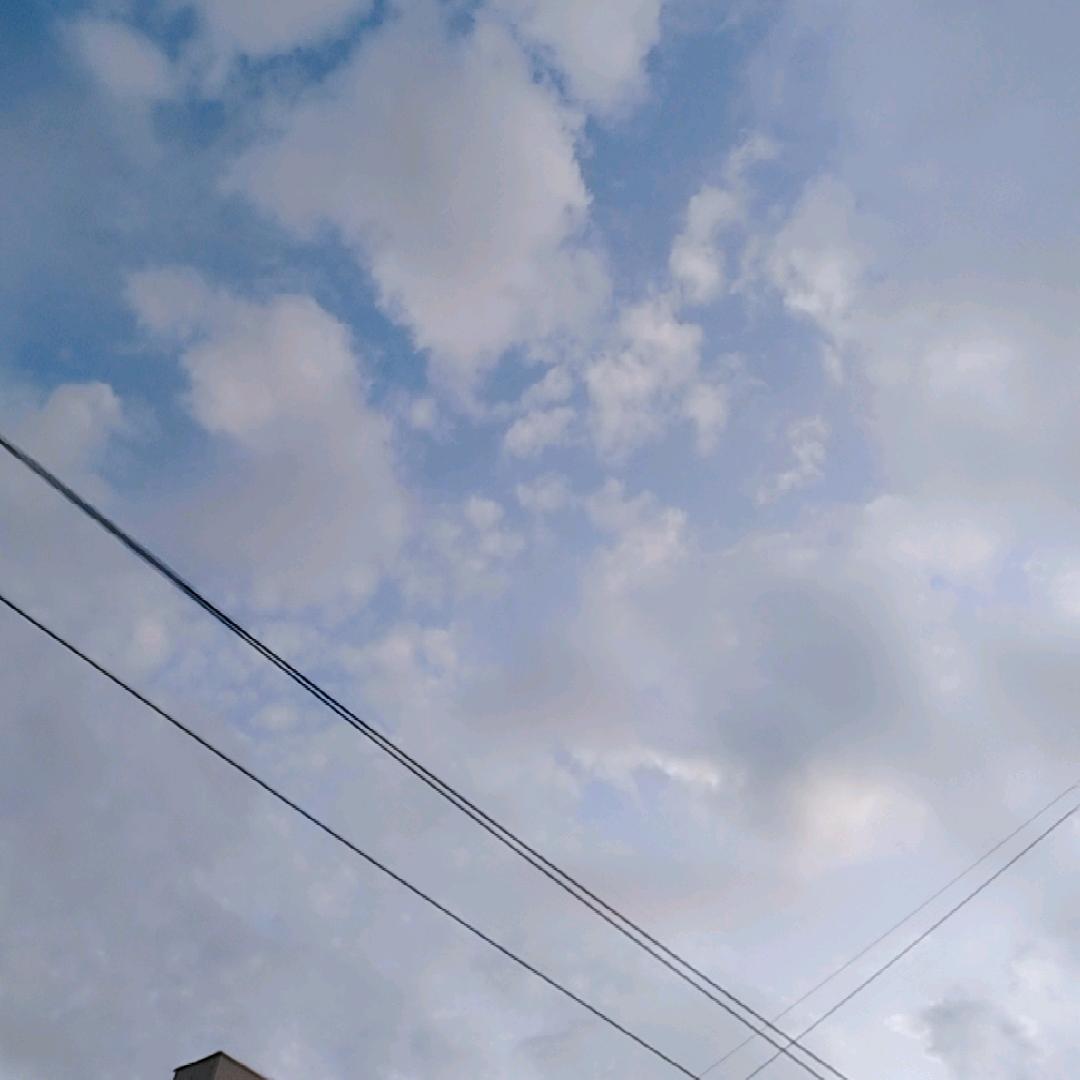 依竹听雨_242425641