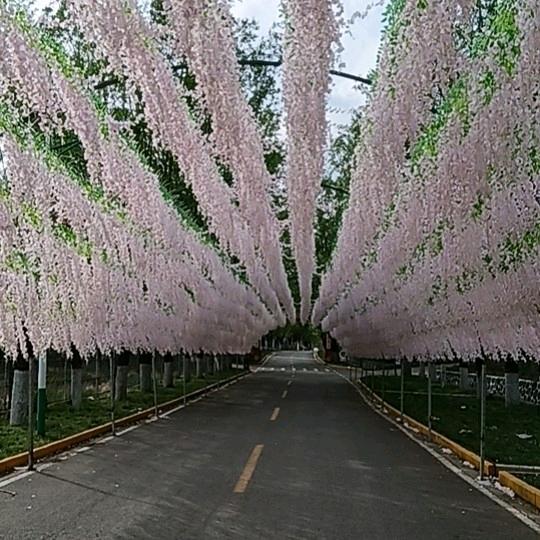 河北省保定曲阳县刘永辉