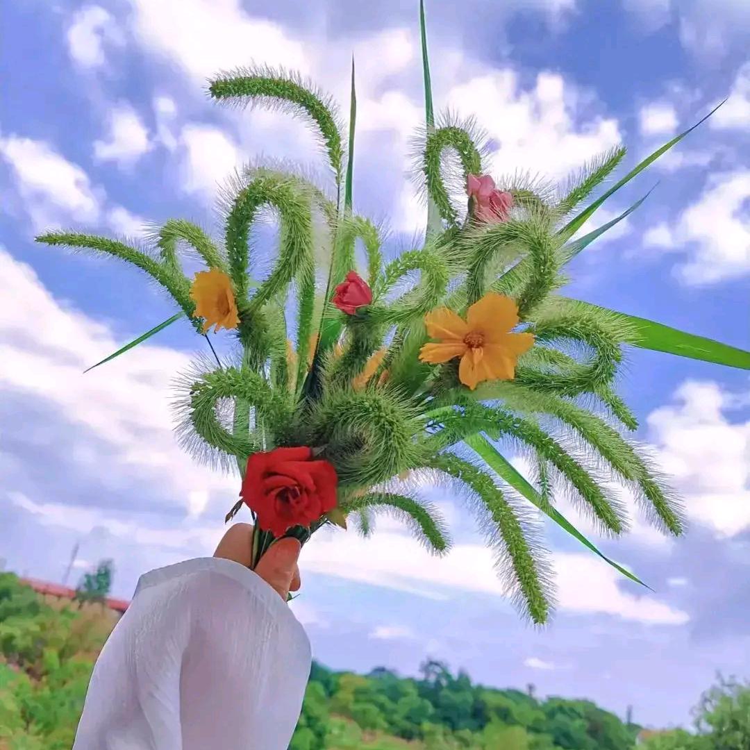 噜噜噜