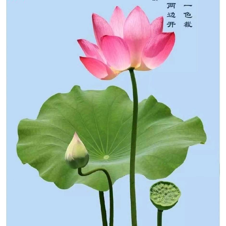 多财多亿