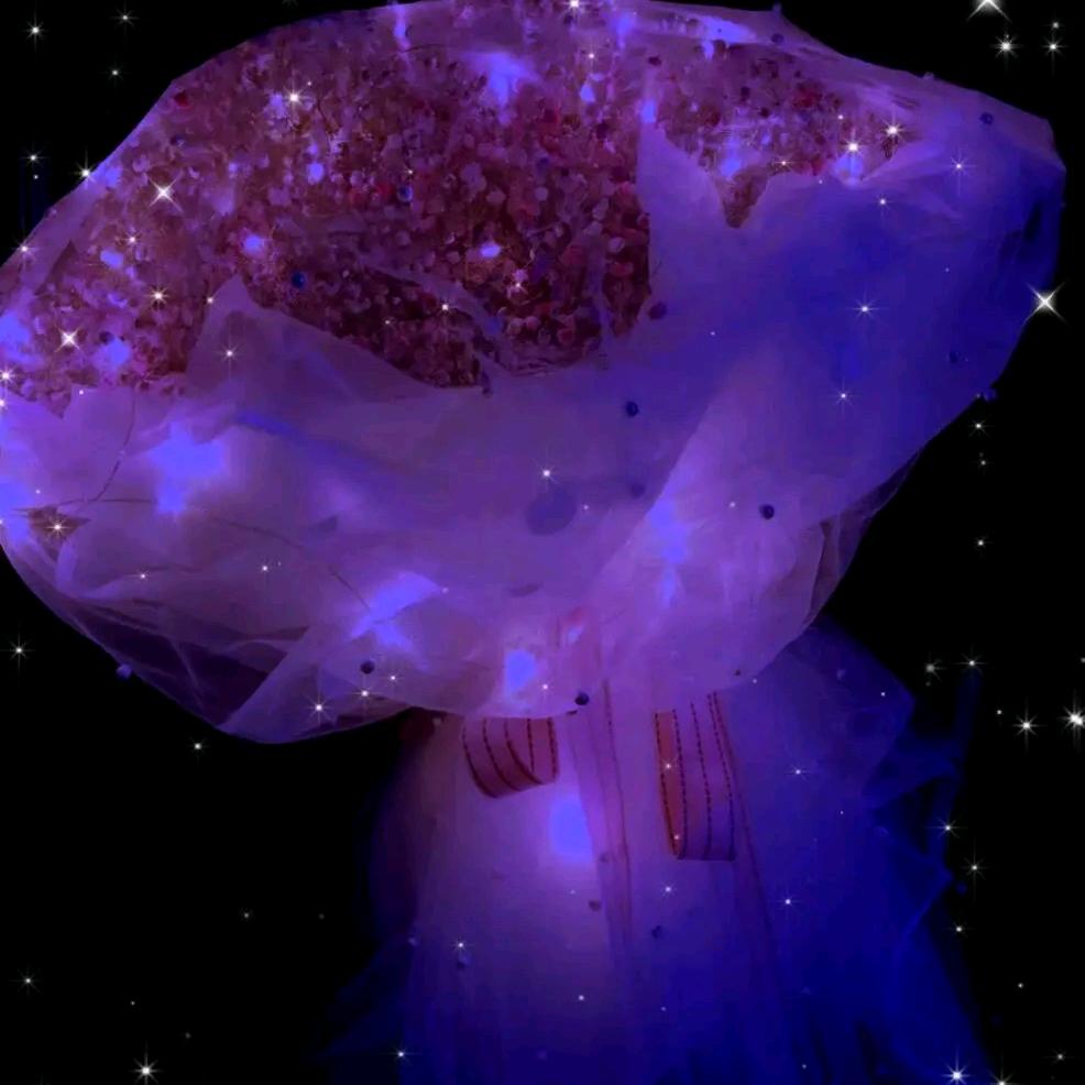 满天星辰不及你(◕ˇ∀ˇ◕)