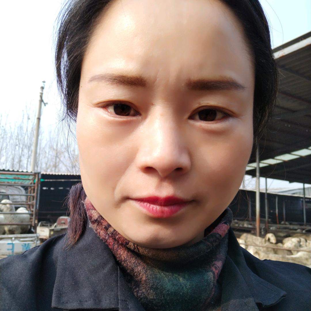 锦绣.