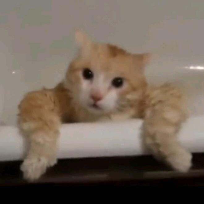 是风动还是心动