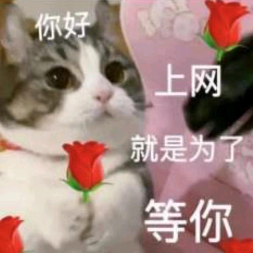 武陟吸坑侠汽车凹陷修复