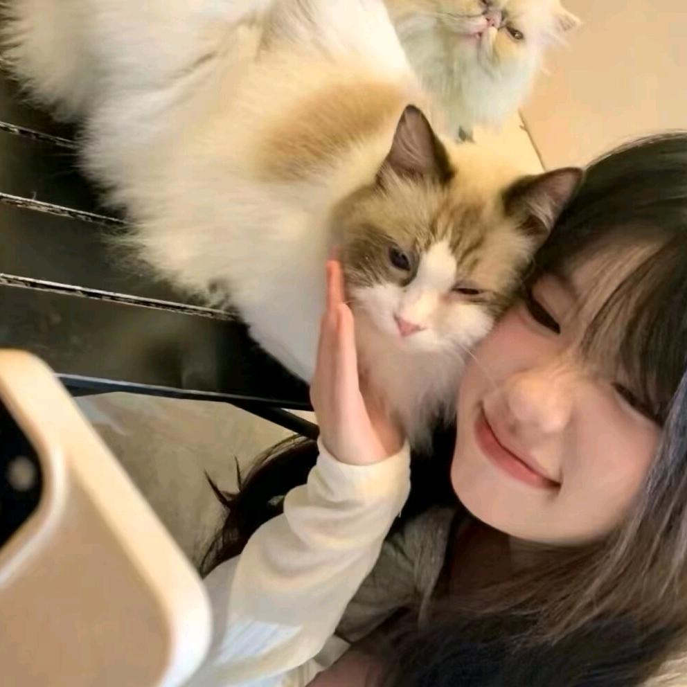 小荔枝