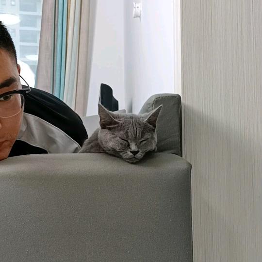 吃货小王子