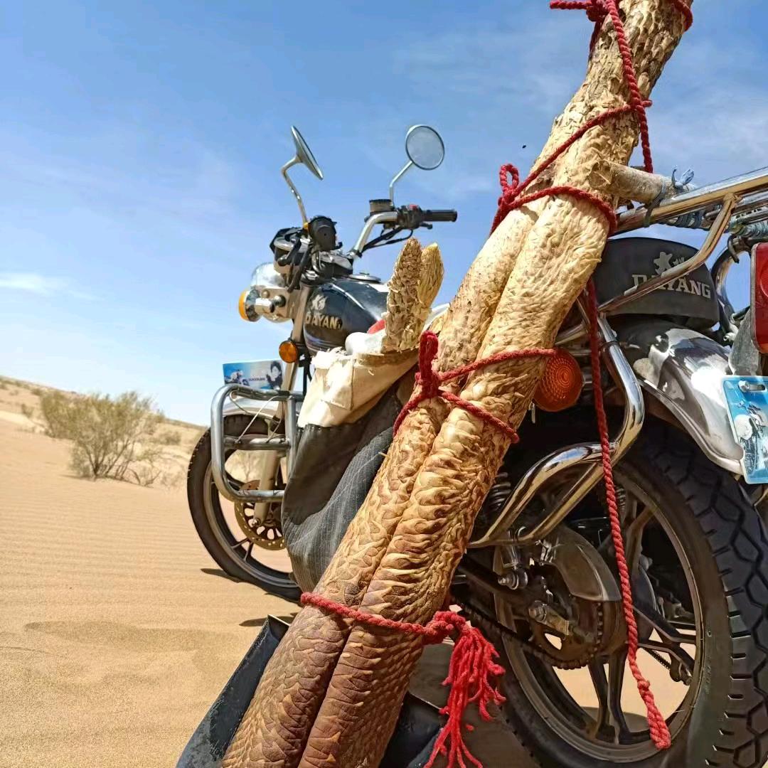 漠中龙土特产店