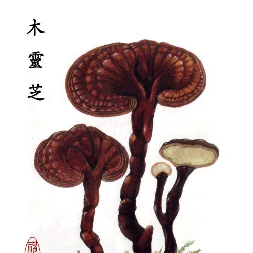 修心