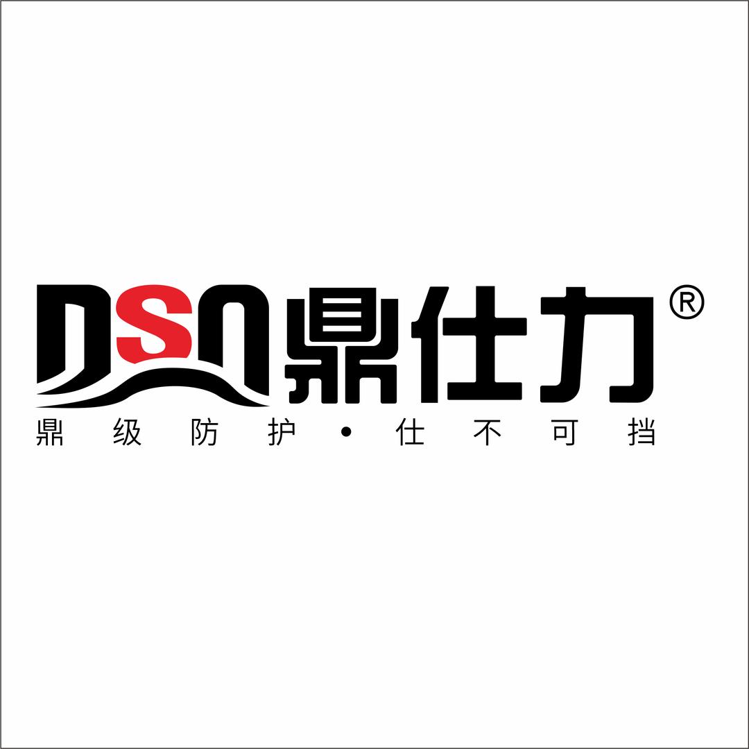 DSN鼎仕力佛山鼎仕力汽车配件有限公司汽车用品专卖店