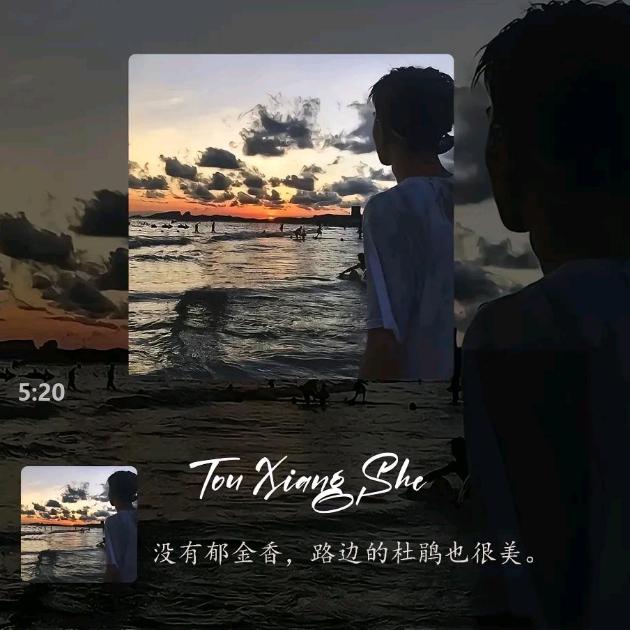 睡不捉