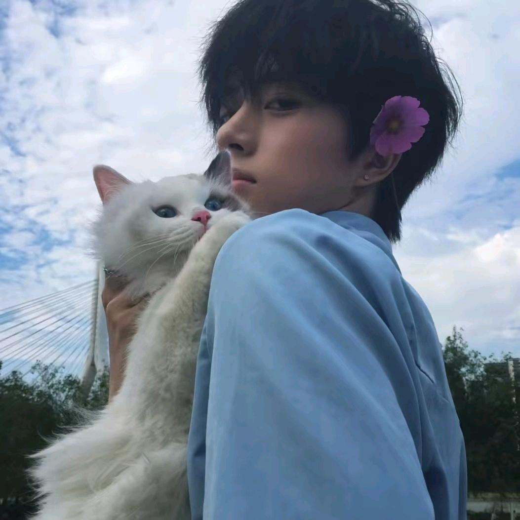 我心本无泪
