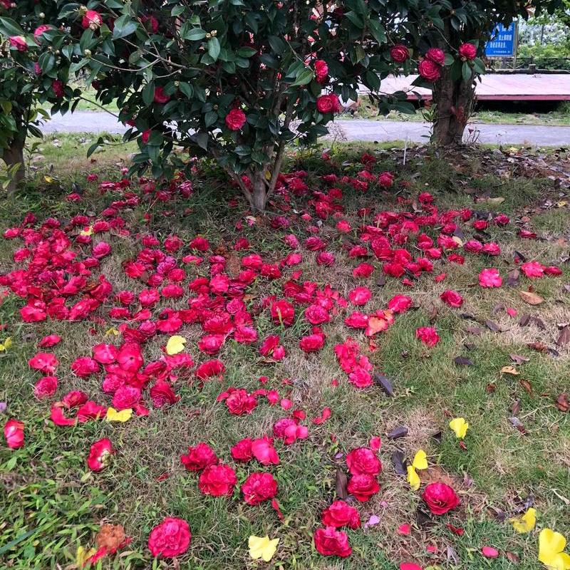 线上超市全国招商