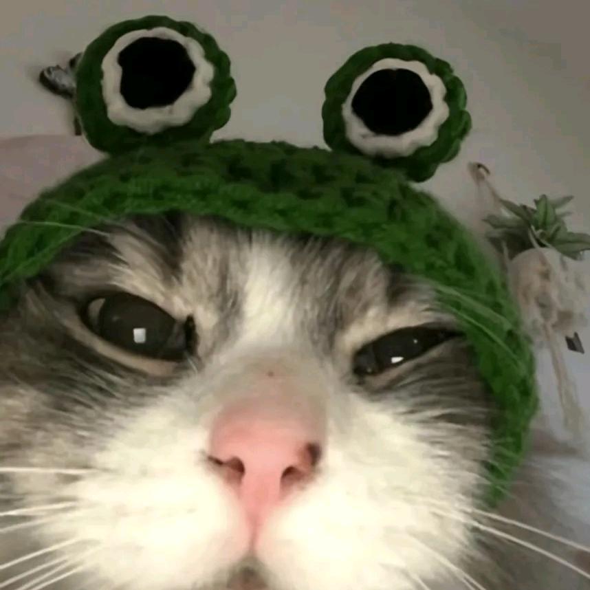 o.x
