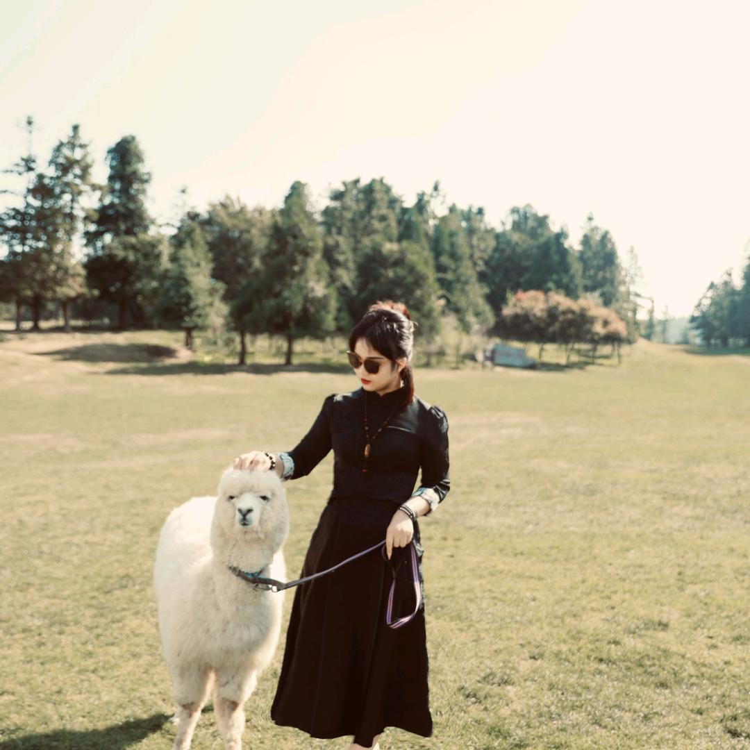 梅梅（王者荣耀）