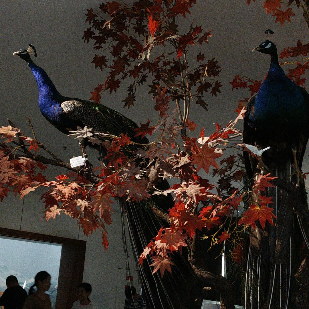 。。。。。！！！！