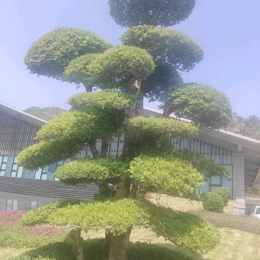 各种型号的电机厂价直销