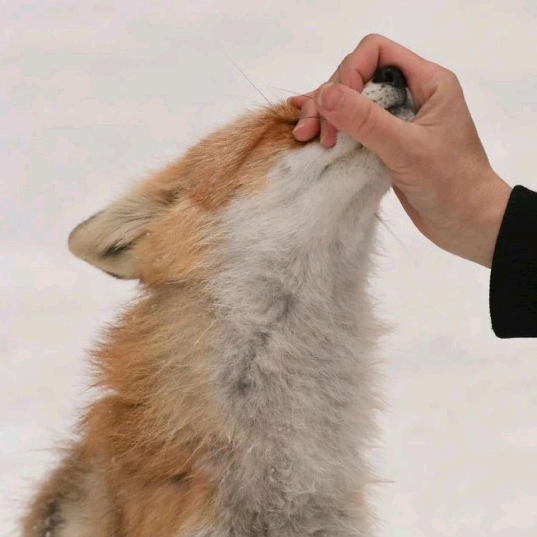 730